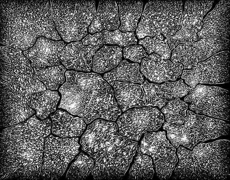 Original Realism Nature Printmaking by Anastasija Dundicz