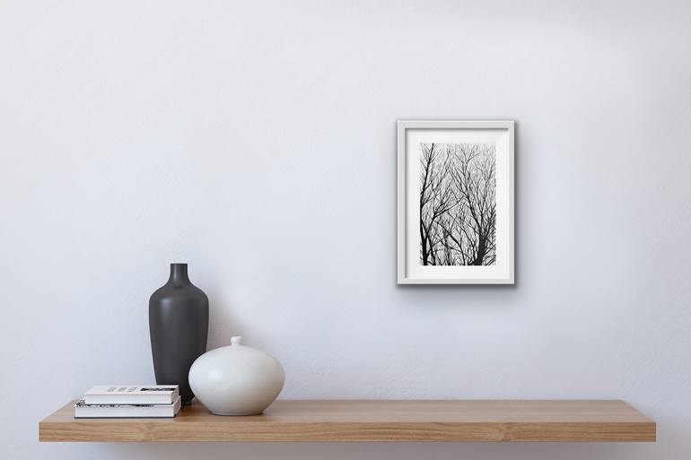 Original Realism Nature Printmaking by Anastasija Dundicz