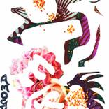 Seahorse Twin by Amogha Venus