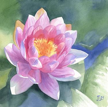 Pink water lily original watercolor painting gift for her thumb