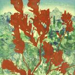 Plant Portraits - Joyous Solitude by Marlene Struss