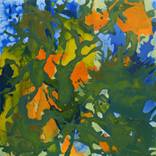 Habitat's Last Stand by Marlene Struss