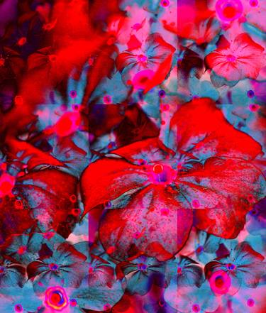 Original Abstract Floral Photography by Karen Platt