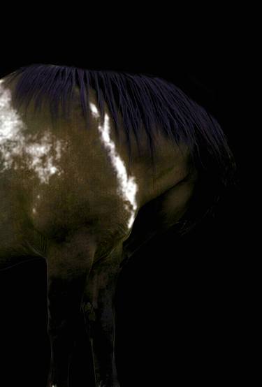 Print of Abstract Horse Photography by William Emerson