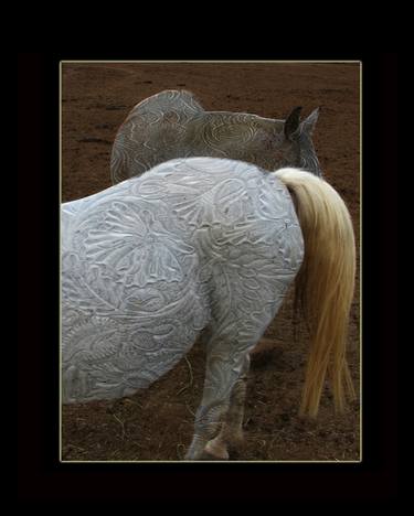 Print of Horse Photography by William Emerson