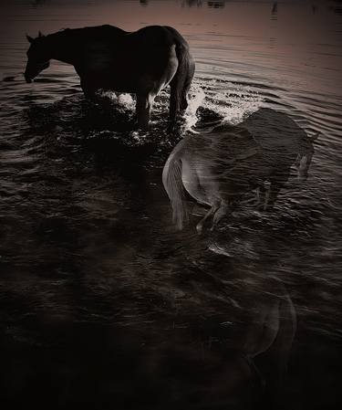 Print of Abstract Horse Photography by William Emerson