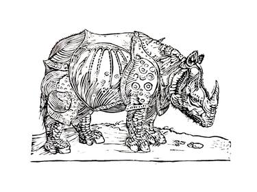 Dürer’s Rhinoceros - Reinterpretation - Limited Edition of 10 thumb