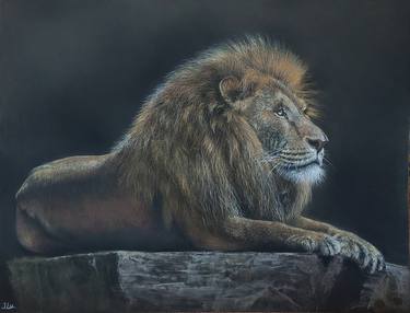 Original Animal Drawing by Julia Lu