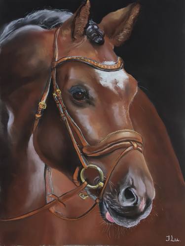 Brown horse portrait by Julia Lu thumb