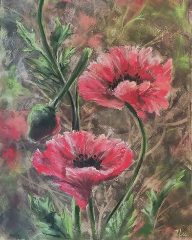 RED POPPIES IN THE SECRET GARDEN thumb