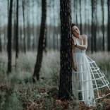 Collection Into the Woods