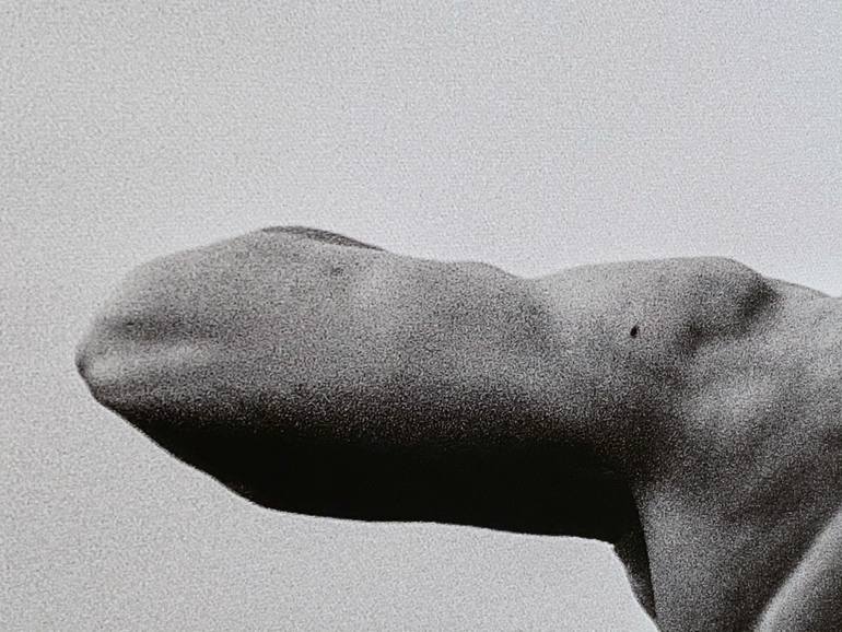 Original Conceptual Body Photography by Helio Junior