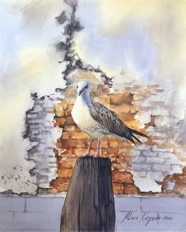 Pigeon and old brick wall thumb