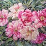 Peonies flowers by Svitlana Oleksandrova