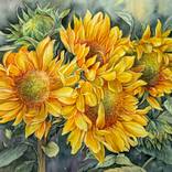 Sunflowers by Svitlana Oleksandrova