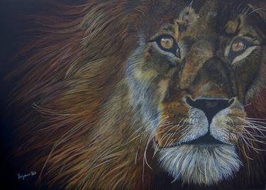 Original Realism Animal Drawings by Benjamin Self