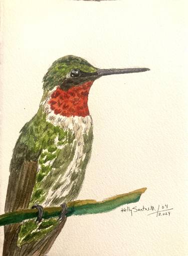Ruby-throated hummingbird thumb