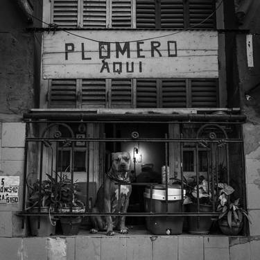 El Plomero - Limited Edition of 25 thumb