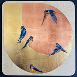 Collection Into the Wild