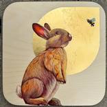 Buzz Bunny by Marie Lavallee
