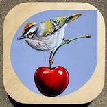 Kinglet and Cherry by Marie Lavallee