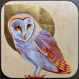 Owliver by Marie Lavallee