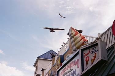 Print of Modern Animal Photography by Sebastian Schreiber