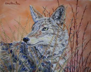 Saatchi Art Artist Sebastian Schreiber; Paintings, “Coyote at Sunrise” #art