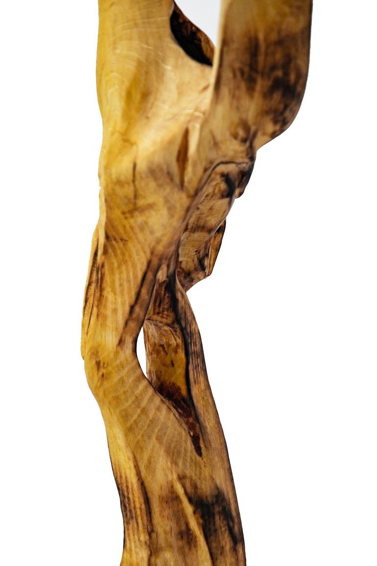 Original Abstract Nature Sculpture by Kristina Moravcikova