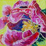 Collection Oil Paintings