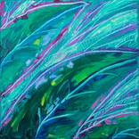 Collection Oil Paintings