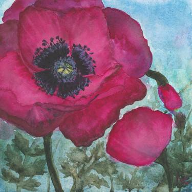 Red Poppy thumb