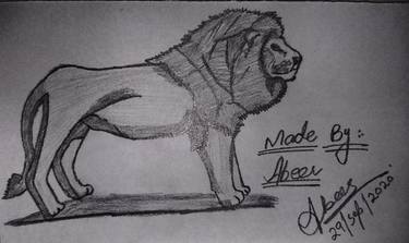 Lion Sketch thumb