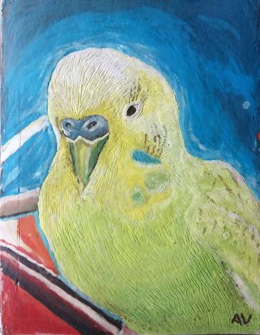 Vinicius, my mother´s australian parakeet thumb