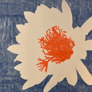 Collection The Art of Printmaking