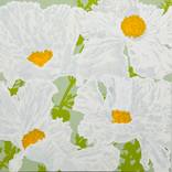 4 Poppies by Nicholas Naughton