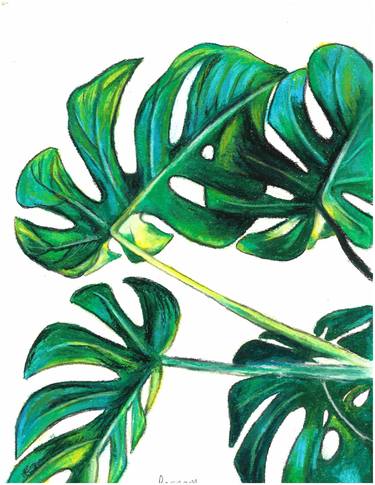 Print of Minimalism Botanic Paintings by POONAM SINGH