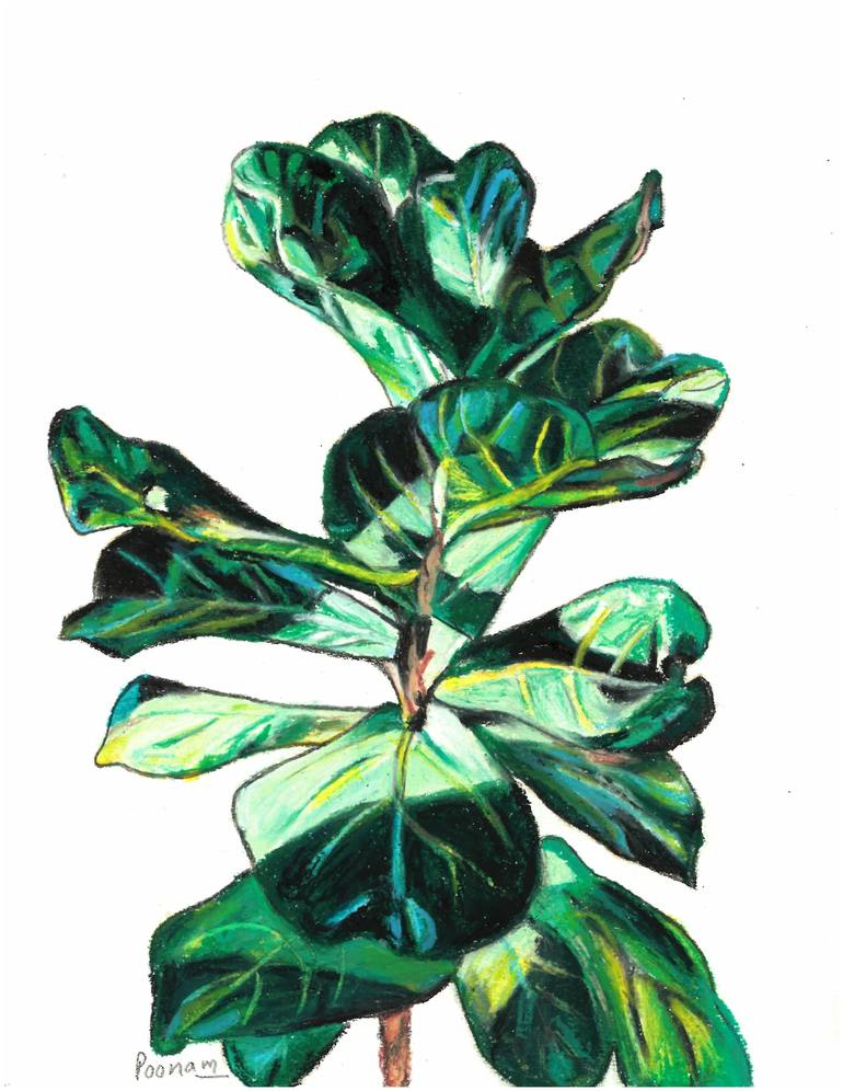 Fiddle Leaf Fig Painting By POONAM SINGH Saatchi Art   7058624 HSC00001 7 