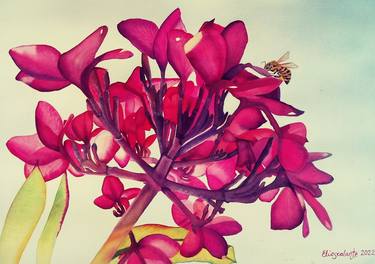 Original Fine Art Floral Paintings by Eleonora Escalante