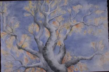 Print of Realism Tree Paintings by Jan Flapan