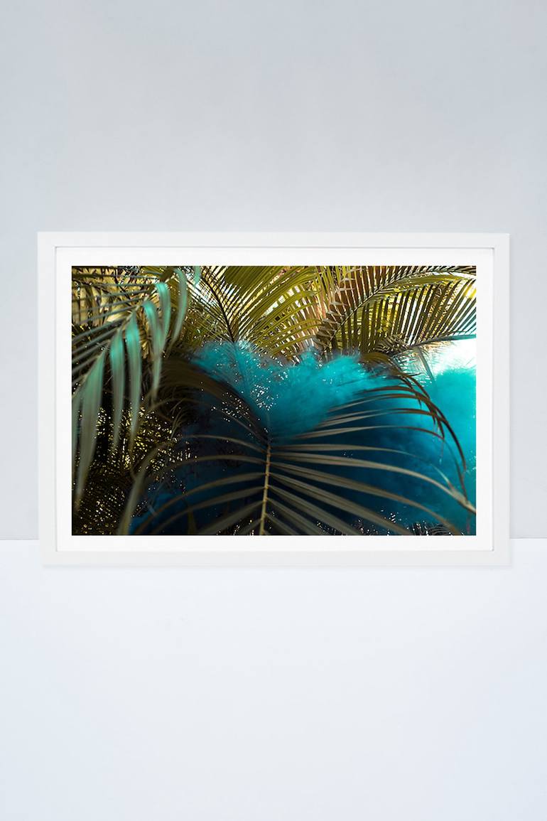 Original Contemporary Nature Photography by Isabella Bejarano