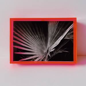 NIGHT PALMS IN NEON PINK PLEXI FRAME