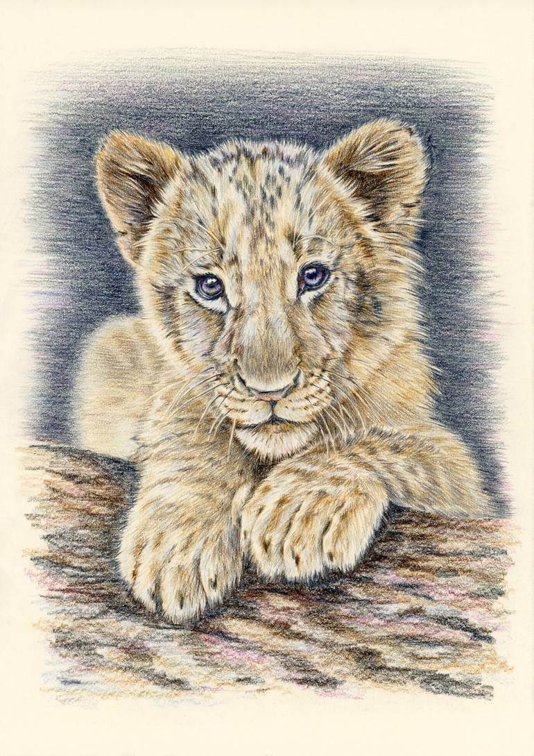 Lion cub Drawing by Elena Trusova Saatchi Art