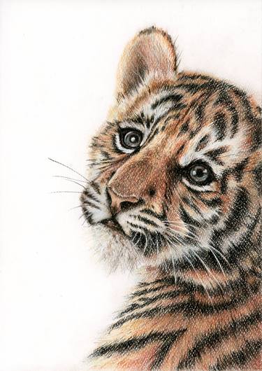 Tiger cub thumb