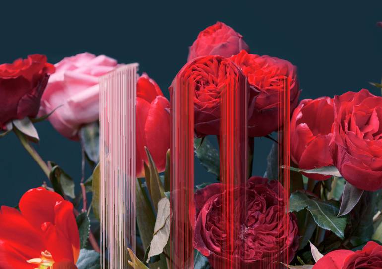 Original Abstract Floral Photography by Tijana Moraca