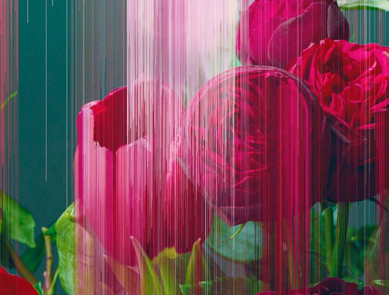 Magenta flowers glitch Photography by Tijana Morača Saatchi Art