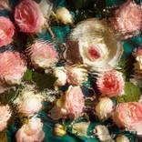 Ripples and roses by Tijana Moraca