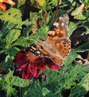 Original Realism Nature Drawings by Mike Mcgoff