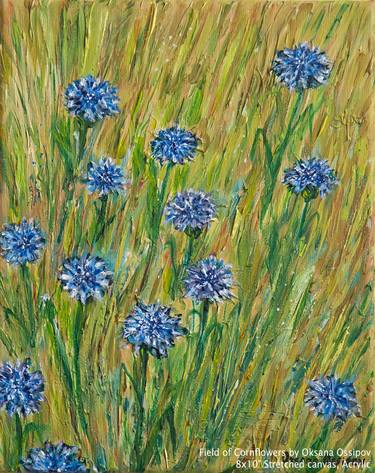 Field of Cornflowers thumb