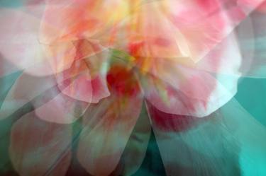 Print of Floral Photography by Svitlana Moiseienko